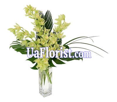 A bunch of orchid flowers A bunch of orchid flowers