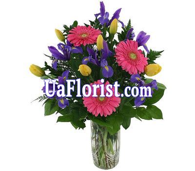 Spring bouquet of irises and gerberas flowers Spring bouquet of irises and gerberas flowers