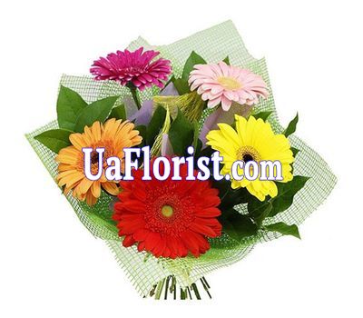 Букет из 5 гербер Букет из 5 гербер