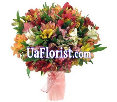 A bunch of 31 alstroemerias A bunch of 31 alstroemerias
