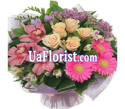 A bunch of orchid flowers A bunch of orchid flowers