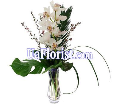 Букет цветов из орхидеи Букет цветов из орхидеи