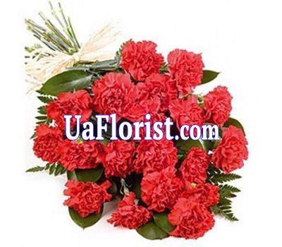 Bouquet of flowers from 25 carnations Bouquet of flowers from 25 carnations