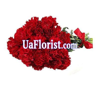 Bouquet of flowers from 17 carnations Bouquet of flowers from 17 carnations
