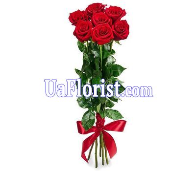 7 red roses 7 red roses