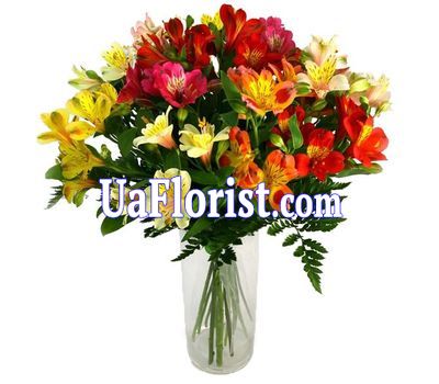 Букет цветов из 15 альстромерий Букет цветов из 15 альстромерий