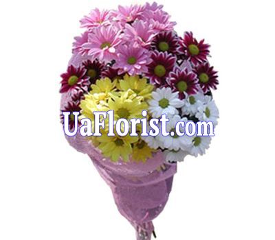 Bouquet of flowers 5 chamomile (chamomile chrysanthemums) Bouquet of flowers 5 chamomile (chamomile chrysanthemums)