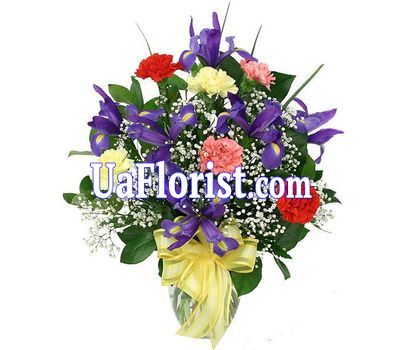 A bunch of 7 irises and 6 carnations A bunch of 7 irises and 6 carnations