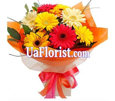 Букет квітів з 9 гербер Букет квітів з 9 гербер