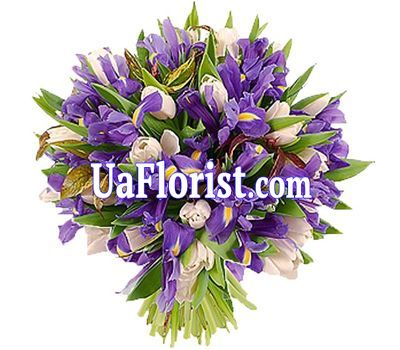 A bunch of 35 irises and 22 tulips A bunch of 35 irises and 22 tulips