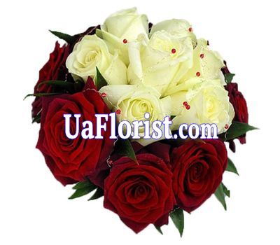 17 multicolored roses 17 multicolored roses