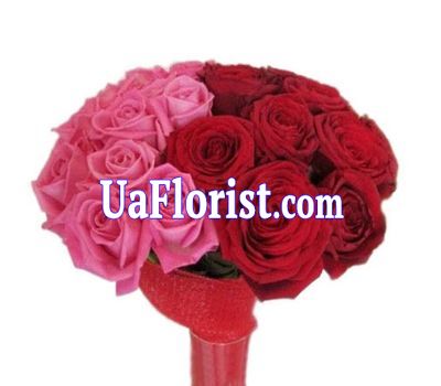 19 multicolored roses 19 multicolored roses