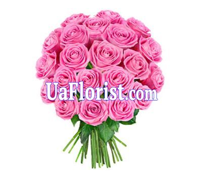 23 pink roses