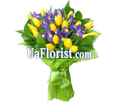 A bouquet of 19 tulips and 10 irises A bouquet of 19 tulips and 10 irises