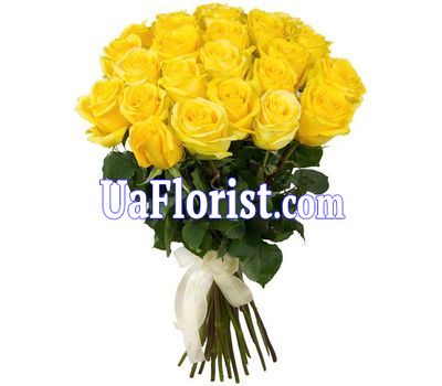 25 yellow roses 25 yellow roses