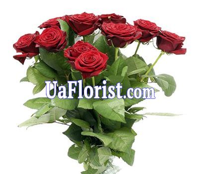 Bouquet of 15 red roses Bouquet of 15 red roses