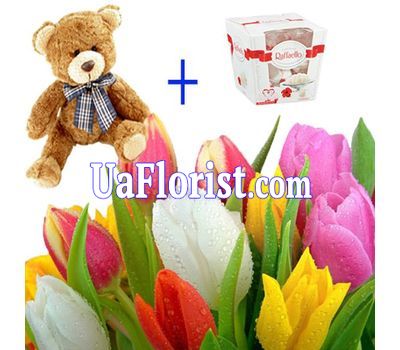 17 тюльпанів, ведмедик і цукерки