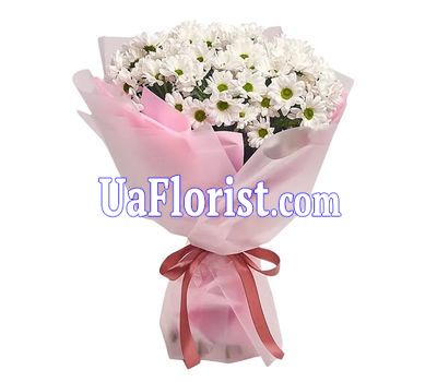 A bouquet of 11 chamomile chrysanthemums A bouquet of 11 chamomile chrysanthemums