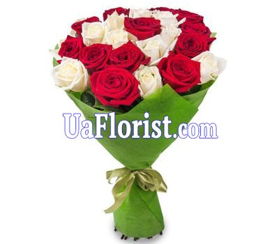 23 white and red roses