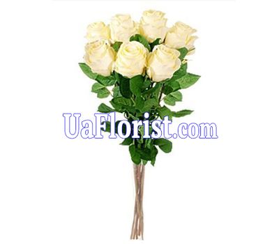 7 cream roses 7 cream roses
