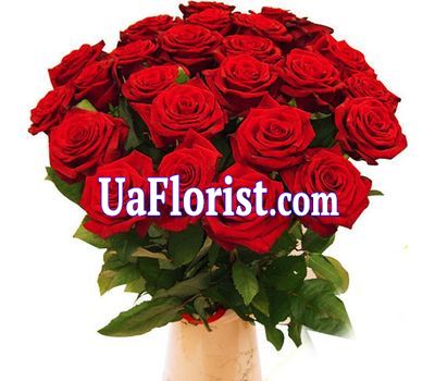 25 red roses 25 red roses