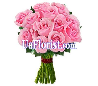 11 pink roses 11 pink roses