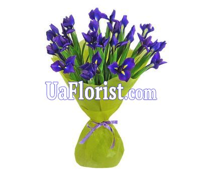 A bunch of 21 blue irises A bunch of 21 blue irises