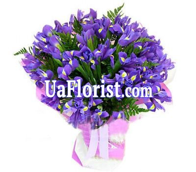 A bunch of 35 blue irises A bunch of 35 blue irises