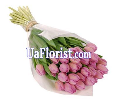 Bouquet of 35 pink tulips