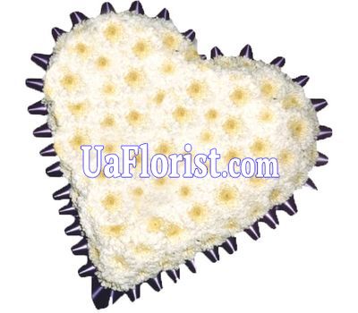 A composition of 15 white chrysanthemums