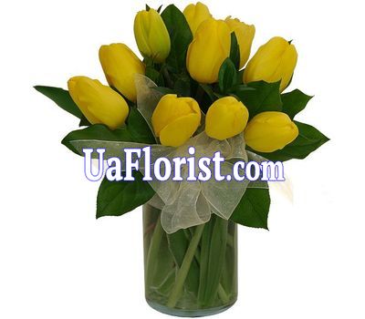 A bouquet of 13 yellow tulips A bouquet of 13 yellow tulips