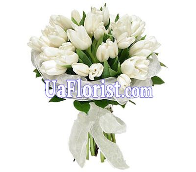 Bouquet of 35 white tulips
