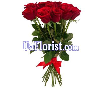 13 red roses 13 red roses