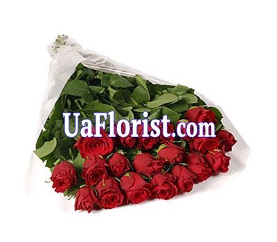 21 red imported roses 21 red imported roses