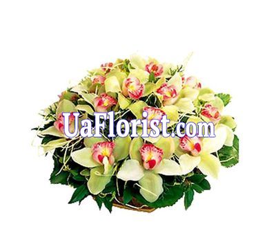 Basket of flowers from 19 orchids Basket of flowers from 19 orchids