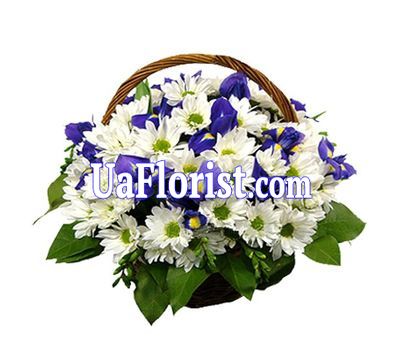 Basket of flowers from 13 chrysanthemums and irises Basket of flowers from 13 chrysanthemums and irises
