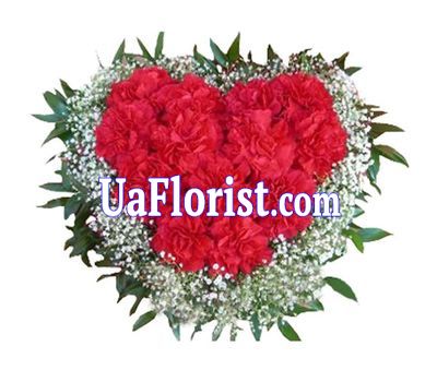 Heart of 17 carnations Heart of 17 carnations