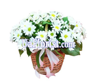 Basket of flowers from 7 chrysanthemums
