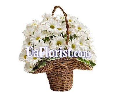Basket of flowers from 9 chrysanthemums Basket of flowers from 9 chrysanthemums