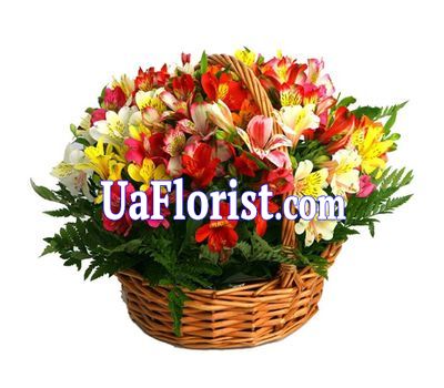 Корзина цветов из 25 альстромерий Корзина цветов из 25 альстромерий