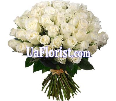 55 white import roses 55 white import roses