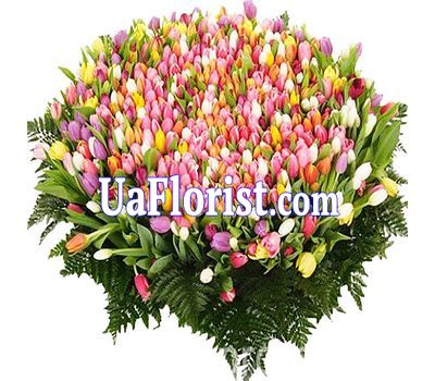 Величезний букет із 1001 тюльпана Величезний букет із 1001 тюльпана