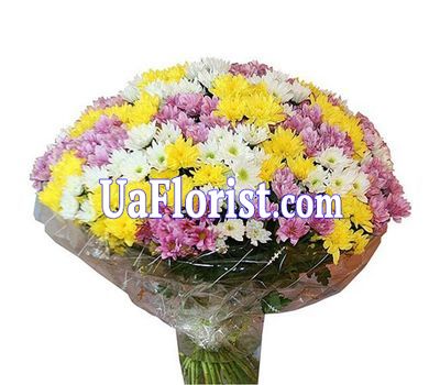 Bouquet of 55 chrysanthemums Bouquet of 55 chrysanthemums