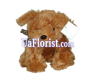Soft toy - Dog Soft toy - Dog