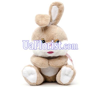 Soft toy - Bunny Soft toy - Bunny