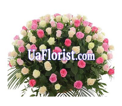 Букет из 101 розы с зеленью Букет из 101 розы с зеленью