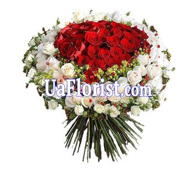 Огромный букет из красных и белых роз