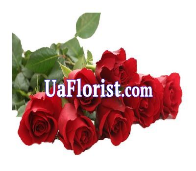 Bouquet of 7 red imported roses Bouquet of 7 red imported roses