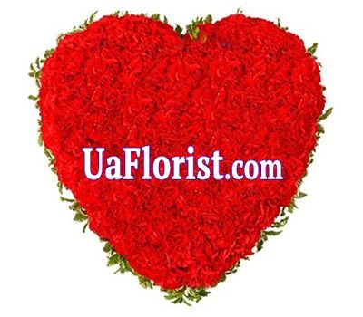 Композиция из 101 красной гвоздики Композиция из 101 красной гвоздики