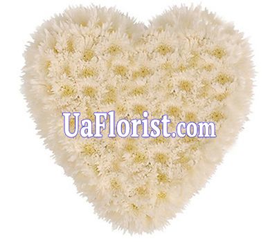 Heart of 25 white chrysanthemums